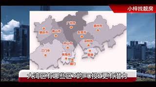 中国大湾区未来投资、自住。怎么选择。看完就明白