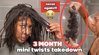 3 MONTH MINI TWISTS!!! My Type 4 Natural Hair WASH DAY ROUTINE After Protective Style + Length Check
