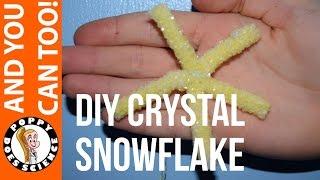 How to make your own crystal snowflake - Poppy Does Science