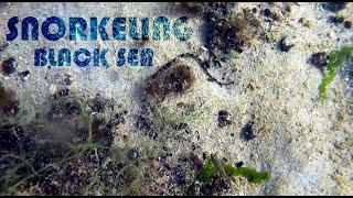 ПВД - Снорклінг, Одеса, липень 2024 (Snorkeling, Ukraine, Black Sea)