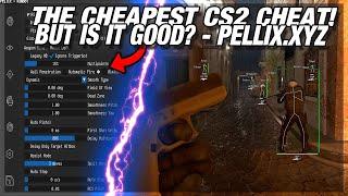 The CHEAPEST CS2 Cheat! Good or Bad? | pellix.xyz