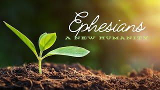 Ephesians: A New Humanity:  New Humanity