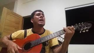 Con todo y mi tristeza - Luciano Pereyra cover (Leonardo Rocha )