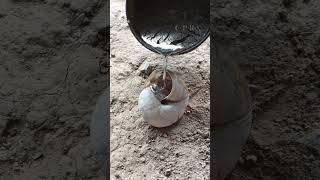 Unique Casting From Scrap Metal - Aluminum Snail Shell #shorts #viralvideo #restoration #reels