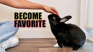 How Rabbits Choose Their Favorite Person