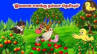 கார்ட்டூன் 30/05/25 | Feel good stories in Tamil | Tamil moral stories | Beauty Birds stories Tamil