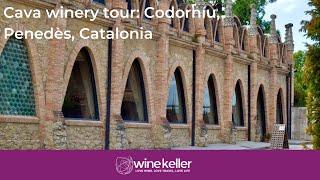 Tour  and tasting at Codorníu winery, the birthplace of Spanish Cava,  Penedès, Spain