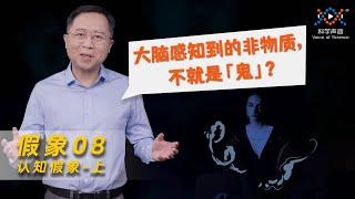 认知假象（上）：你看到了什么，取决于大脑的信念 | 假象08