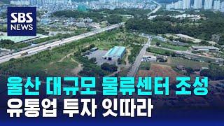 울주군에 대규모 물류센터 조성…유통업 투자 잇따라 / SBS