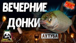  РР4/ рыбалка для души, ловим как универсал, общаемся 19.10.2024