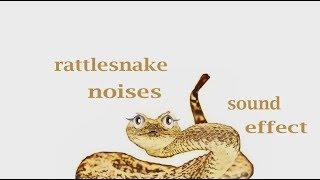 How A Rattlesnake Sounds / Animation