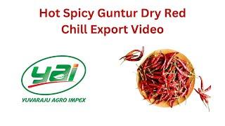 Indian Export Quality Guntur Dry Red Chilli Export  -  Video | Yuvaraju Agro Impex