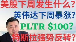 美股942|美股下周发生什么?英伟达下周暴涨?PLTR$100来了?特斯拉强势逆转又要暴涨? #tsla #nvda #pltr #美股分析 #drmikeinvest #stocks #ai