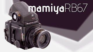 Mamiya RB67 Pro S - Eine fotografische Mittelformat-Reise durch Elba (feat. Kodak Potra 800)