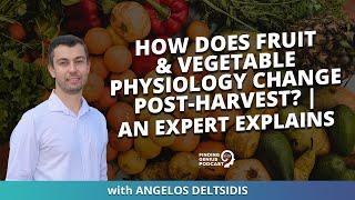 How Does Fruit & Vegetable Physiology Change Post-Harvest? | An Expert Explains