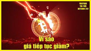 Lý do khiến Bitcoin và Altcoin tiếp tục giảm, xu hướng tăng sắp quay trở lại