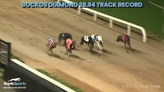 Bockos Diamond's 28.94 Record Breaking Run -  2024 BoyleSports Irish Greyhound Derby