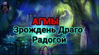 Агмы Зрождень Драго Радогой