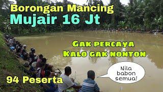 Viral!! Borongan mancing ikan mujair/Nila seharga 16 jt || Ciparigi Sukadana kab. Ciamis ||