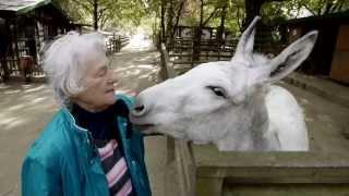 Deutscher Tierschutzpreis 2013: Preis für das Lebenswerk