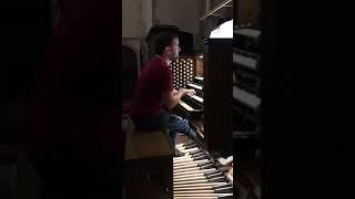 Melody in Mauve - Justin Maxey, organ