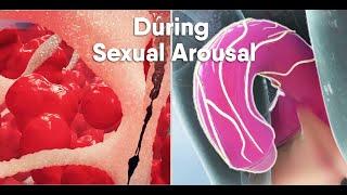 Short track-Do you know what happens During sexual arousal inside the body? what is the clitoris?