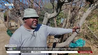 Lesotho declares food insecurity disaster