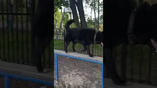 спортсмен