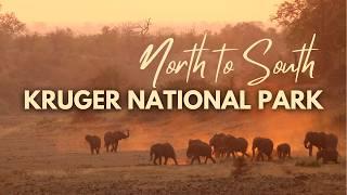 Kruger National Park - NORTH to SOUTH!