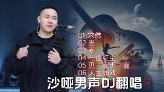 沙哑男声DJ翻唱、求佛、当、爱、 一曲红尘、见一面少一面、人生如戏#郝琪力翻唱