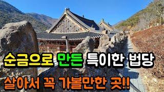 한국에도 이런 곳이 있다니 순금으로 만든 특이한 법당 | 살아서 꼭 가봐야 할 곳!!