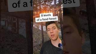 what are the 8 layers of a food forest? #homestead #permaculture #foodforest