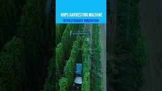 Incredible Hops Harvesting Machine: Revolutionizing Agricultural Machinery