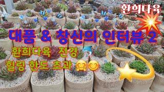 #환희다육 #자구분양#희귀다육#다육판매 #매니아