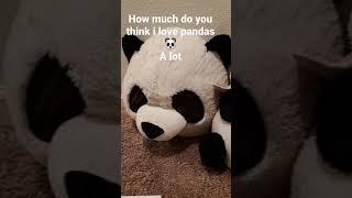 I love pandas 