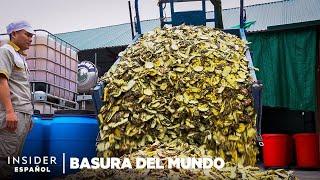 ¿Las cáscaras de piña pueden reemplazar los limpiadores? | Basura del mundo | Insider Business