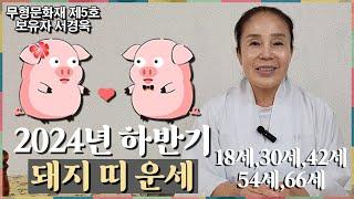 2024년 하반기 돼지띠 운세