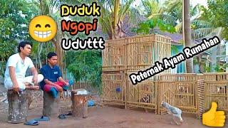 Peternak ayam bangkok skala rumahan || Kandang sederhana