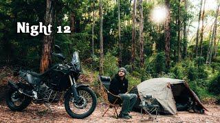 ASMR Solo Motorcycle Camping in a Rainforest | New Tent | New Bike!