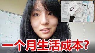 四口之家，北美一个月的基本生活成本要多少？| 大家觉得多了还是少了？