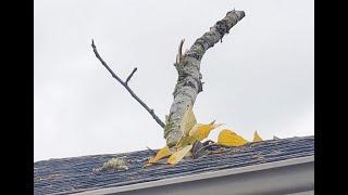 Branch through roof and roof repair by Cherry Roofing