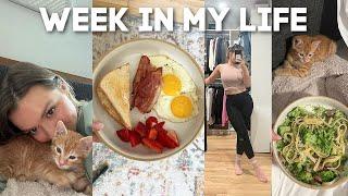 WEEK IN MY LIFE VLOG: starting our wedding invitations, what I eat in a week, kitten updates & MORE
