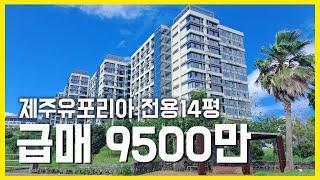 N.122424 지산 전용14평 9500만*(연락처수정 010-8566-0838)