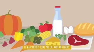 Texas Department of Agriculture | Farm Fresh Motion Graphics Explainer - DHD Films