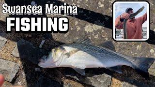 Swansea Marina Fishing - New Species