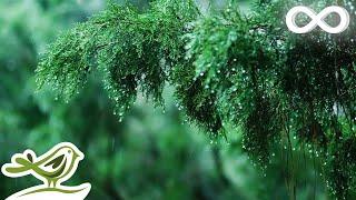 Calming Piano Music with Rain & Thunder Sounds for Sleep or Relaxing • "Rainy Day"