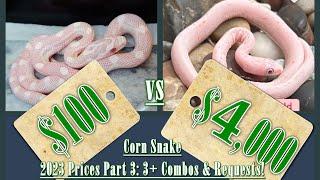 MOST EXPENSIVE corn snakes of 2023!