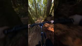 FAST is Smooth #mtb #mountainbike #bike #mtblife