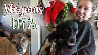 Opening Santa Paws Gifts! | Vlogmas Day 25 | Ohcluck