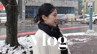 Vlog_승무원 브이로그 | 휴가 | 싱가포르에서 제주 | 카메라구입